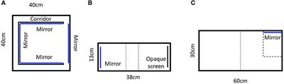 Are mirrors aversive or rewarding for mice? Insights from the mirror preference test